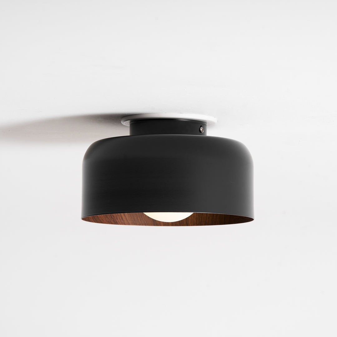 Lumosphere Ceiling Light - Vakkerlight