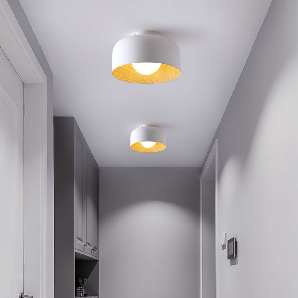 Lumosphere Ceiling Light - Vakkerlight