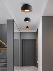 Lumosphere Ceiling Light - Vakkerlight