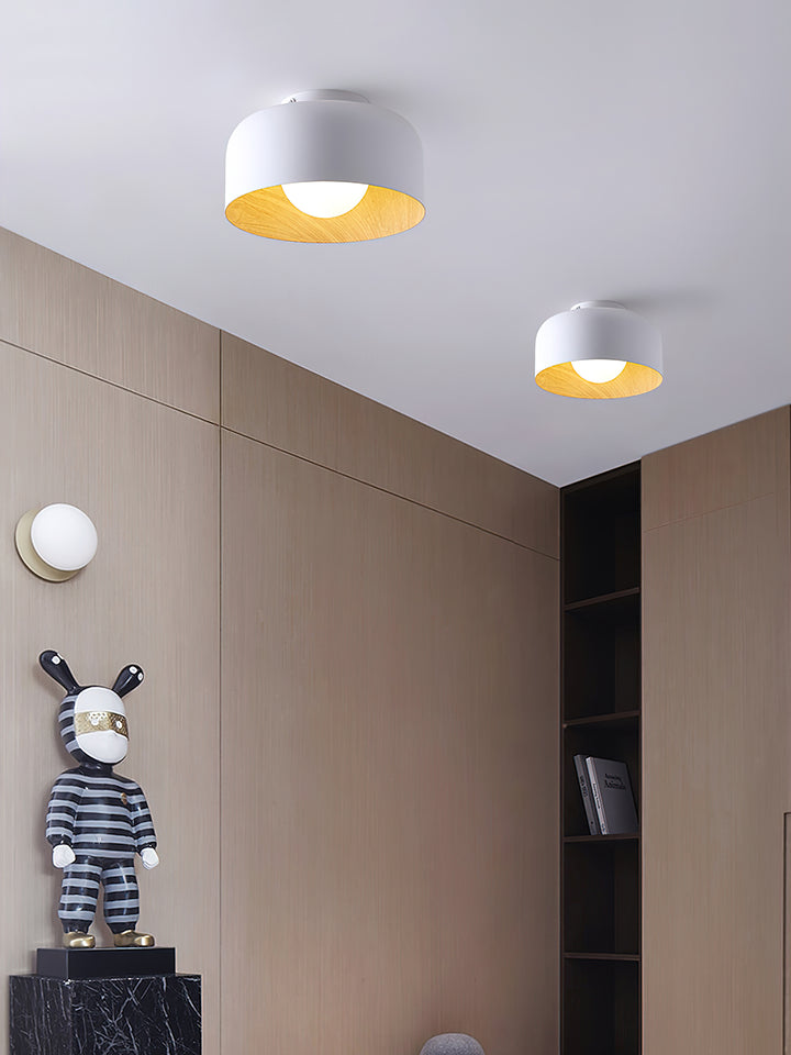 Lumosphere Ceiling Light - Vakkerlight