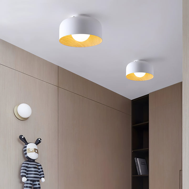 Lumosphere Ceiling Light - Vakkerlight