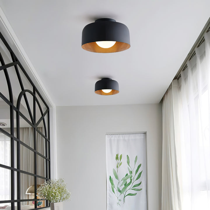 Lumosphere Ceiling Light - Vakkerlight