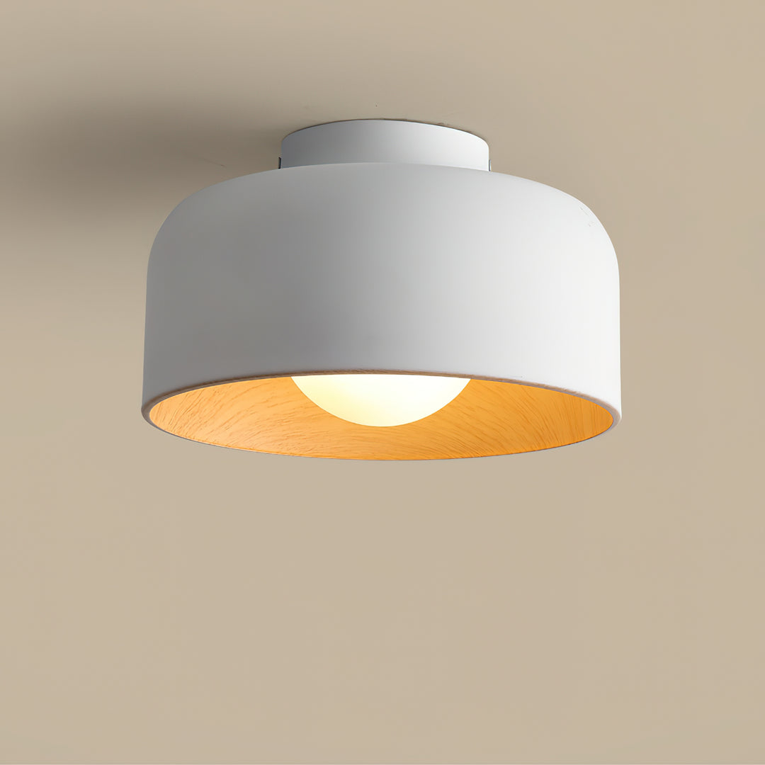 Lumosphere Ceiling Light - Vakkerlight