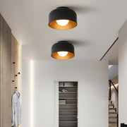 Lumosphere Ceiling Light - Vakkerlight