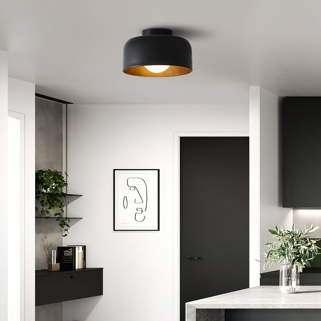 Lumosphere Ceiling Light - Vakkerlight