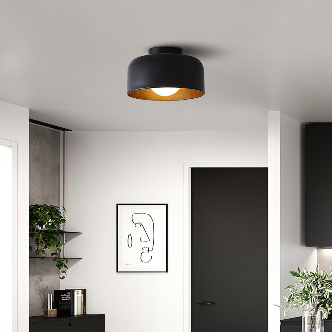 Lumosphere Ceiling Light - Vakkerlight