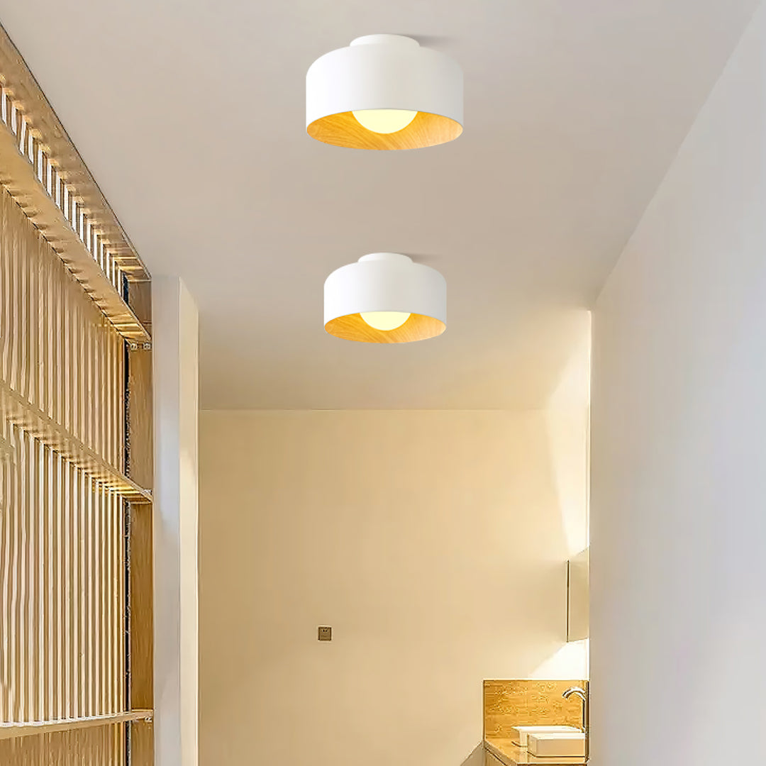 Lumosphere Ceiling Light - Vakkerlight