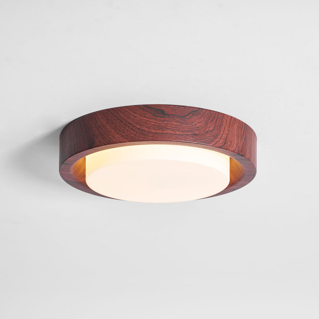 Lunor Ring Ceiling Light - Vakkerlight