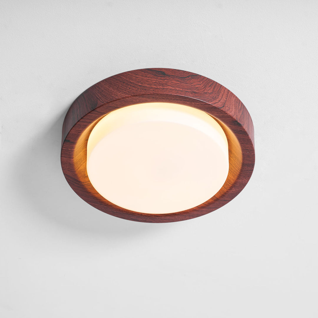 Lunor Ring Ceiling Light - Vakkerlight