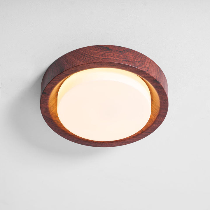 Lunor Ring Ceiling Light - Vakkerlight