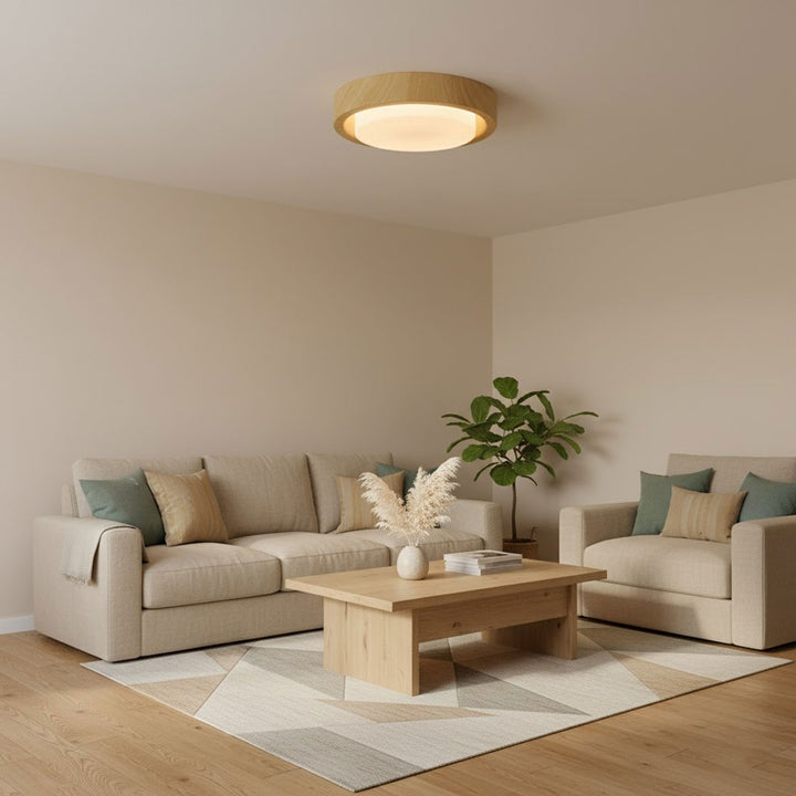 Lunor Ring Ceiling Light - Vakkerlight