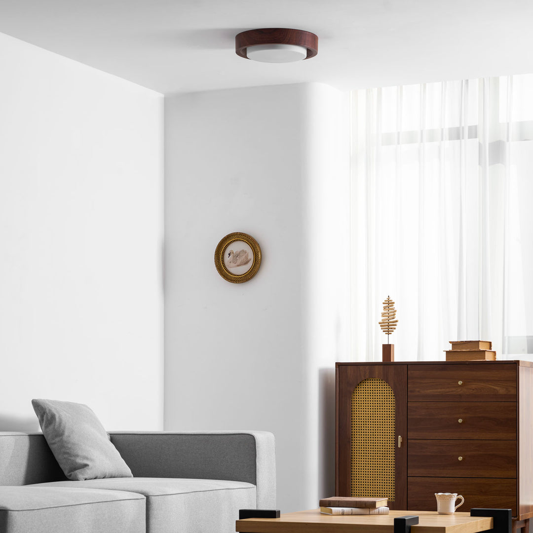 Lunor Ring Ceiling Light - Vakkerlight