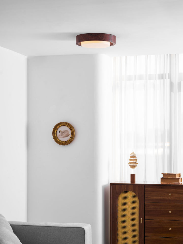 Lunor Ring Ceiling Light - Vakkerlight