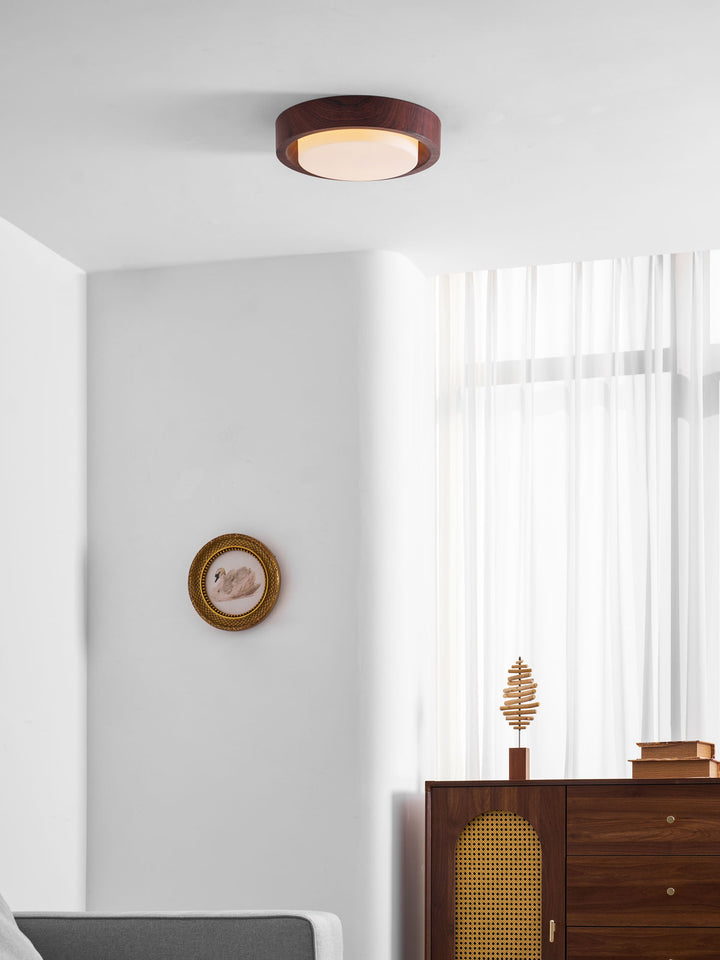 Lunor Ring Ceiling Light - Vakkerlight
