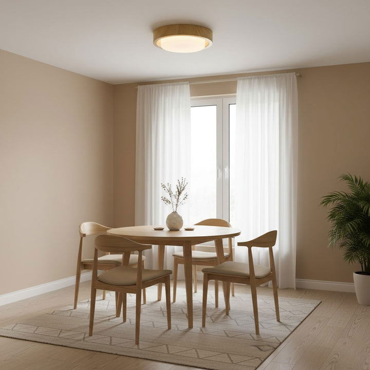 Lunor Ring Ceiling Light - Vakkerlight