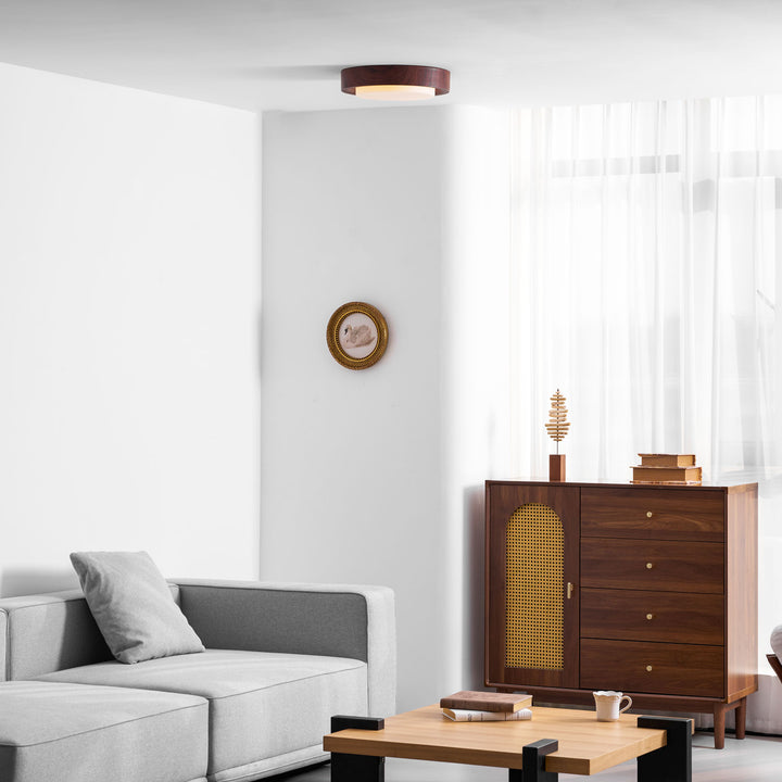 Lunor Ring Ceiling Light - Vakkerlight