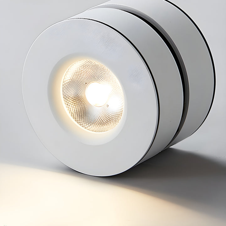 Lyric Adjustable Surface Downlight - Vakkerlight