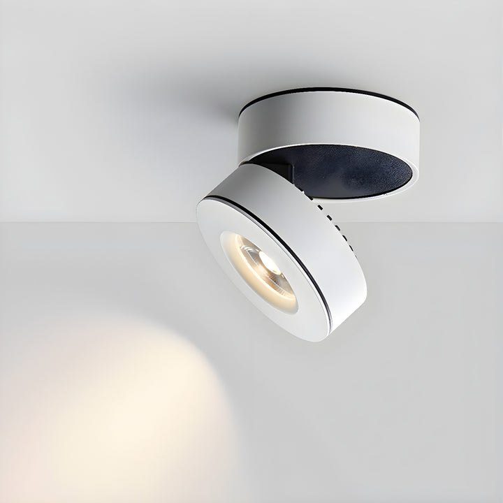 Lyric Adjustable Surface Downlight - Vakkerlight