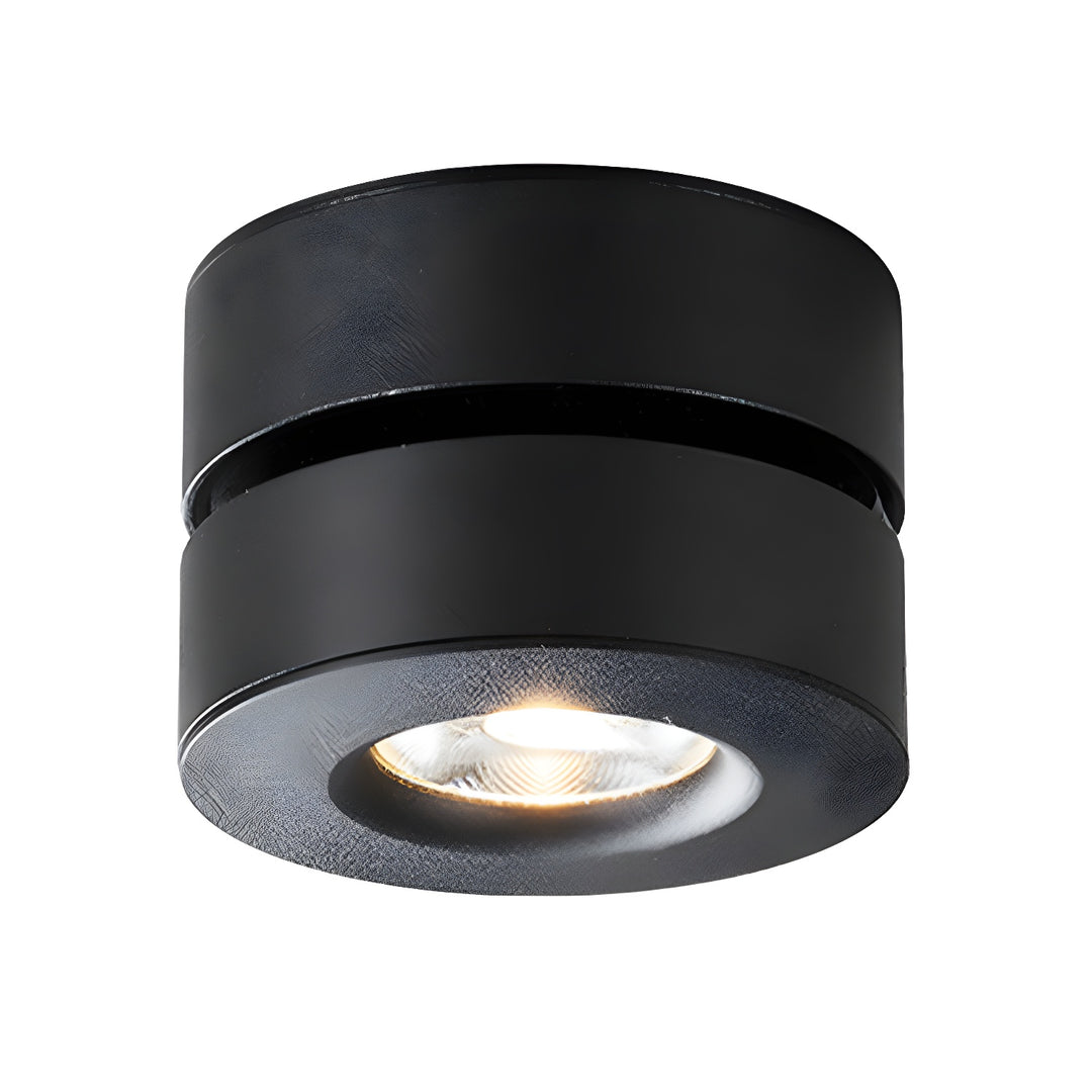 Lyric Adjustable Surface Downlight - Vakkerlight