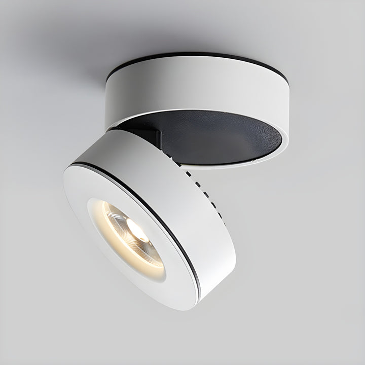 Lyric Adjustable Surface Downlight - Vakkerlight