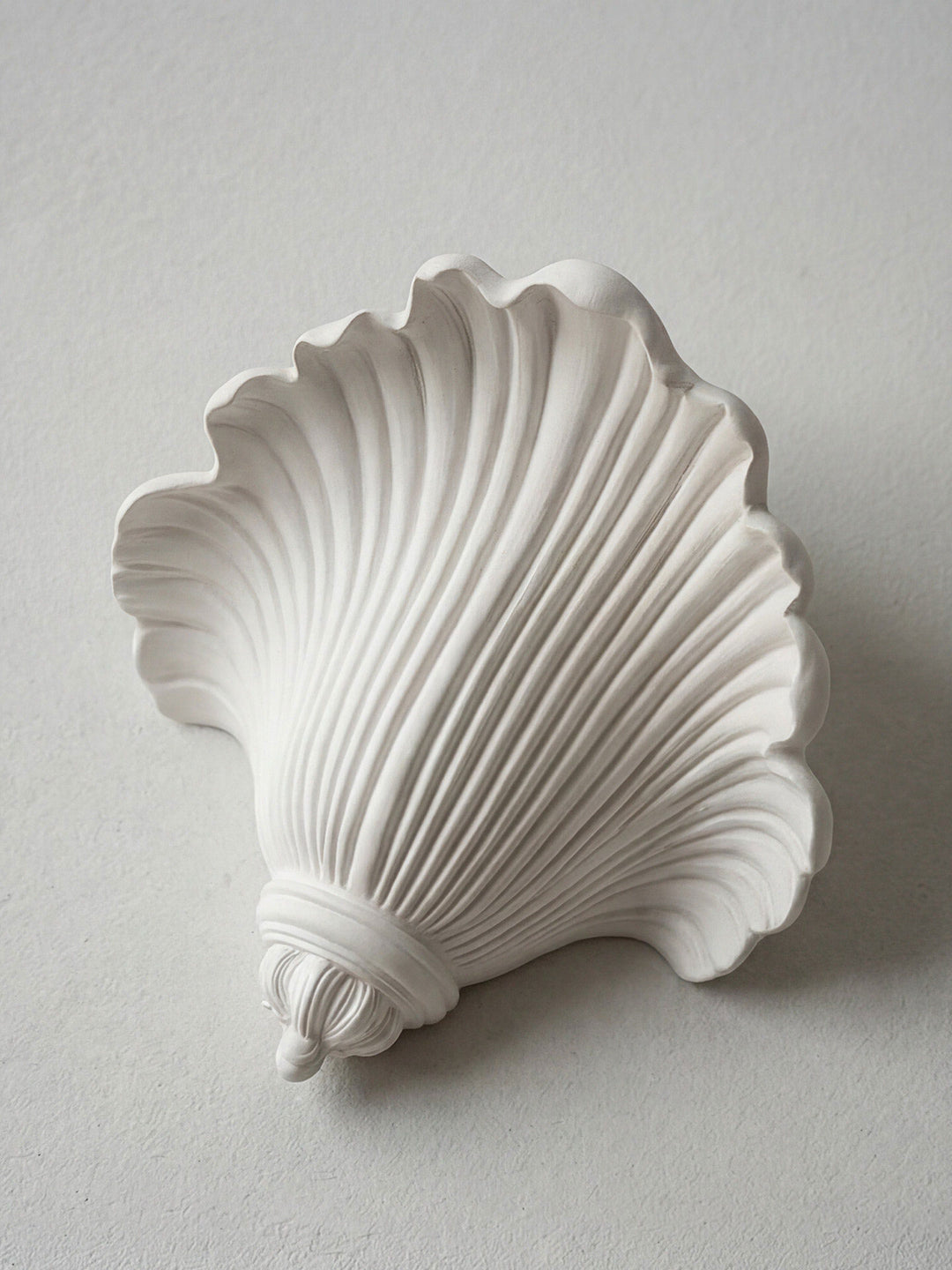 Marisca Shell Wall Sconce