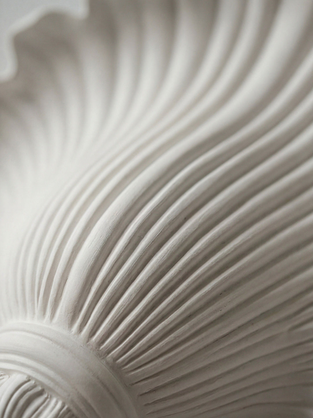 Marisca Shell Wall Sconce