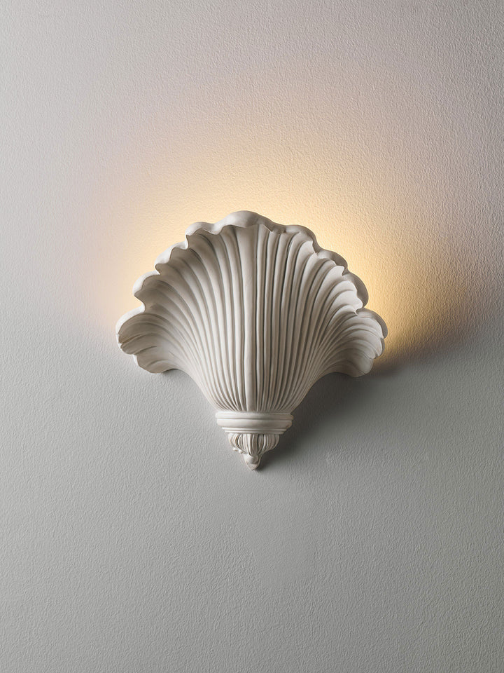 Marisca Shell Wall Sconce