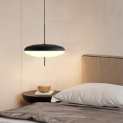 Hanglamp model 2065