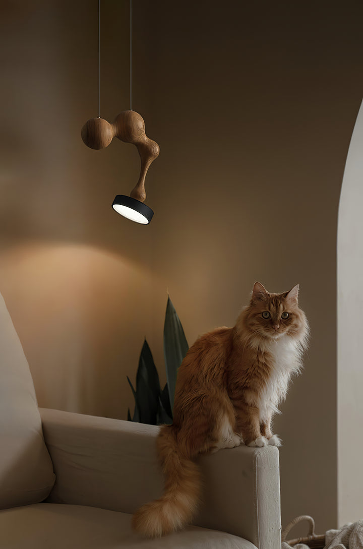 Molecule Wooden Pendant Light - Vakkerlight