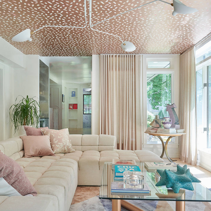 the mid-century spider-arm Ceiling Light A - Vakkerlight