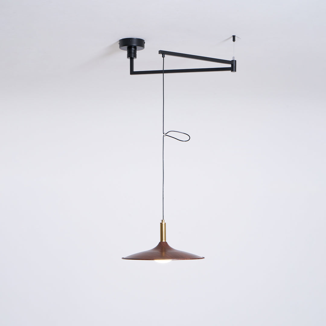 Crane Swing Arm Pendant Lamp - Vakkerlight