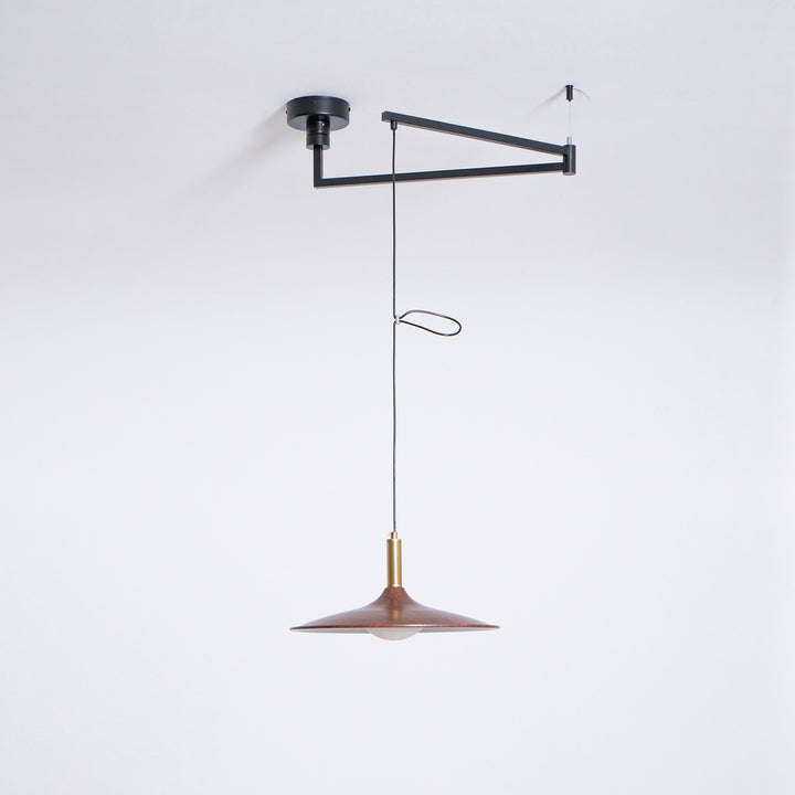 Crane Swing Arm Pendant Lamp - Vakkerlight