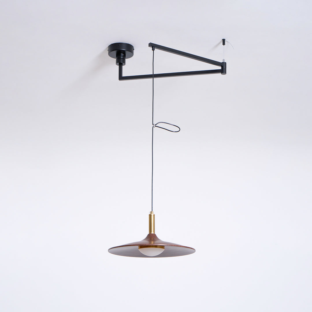 Crane Swing Arm Pendant Lamp - Vakkerlight