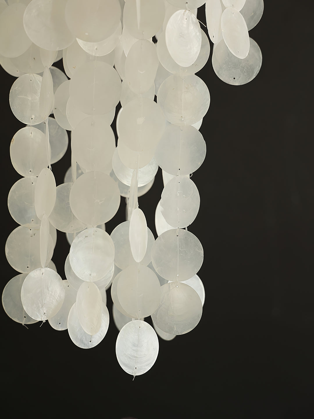 Nerida Shell Chandelier - Vakkerlight