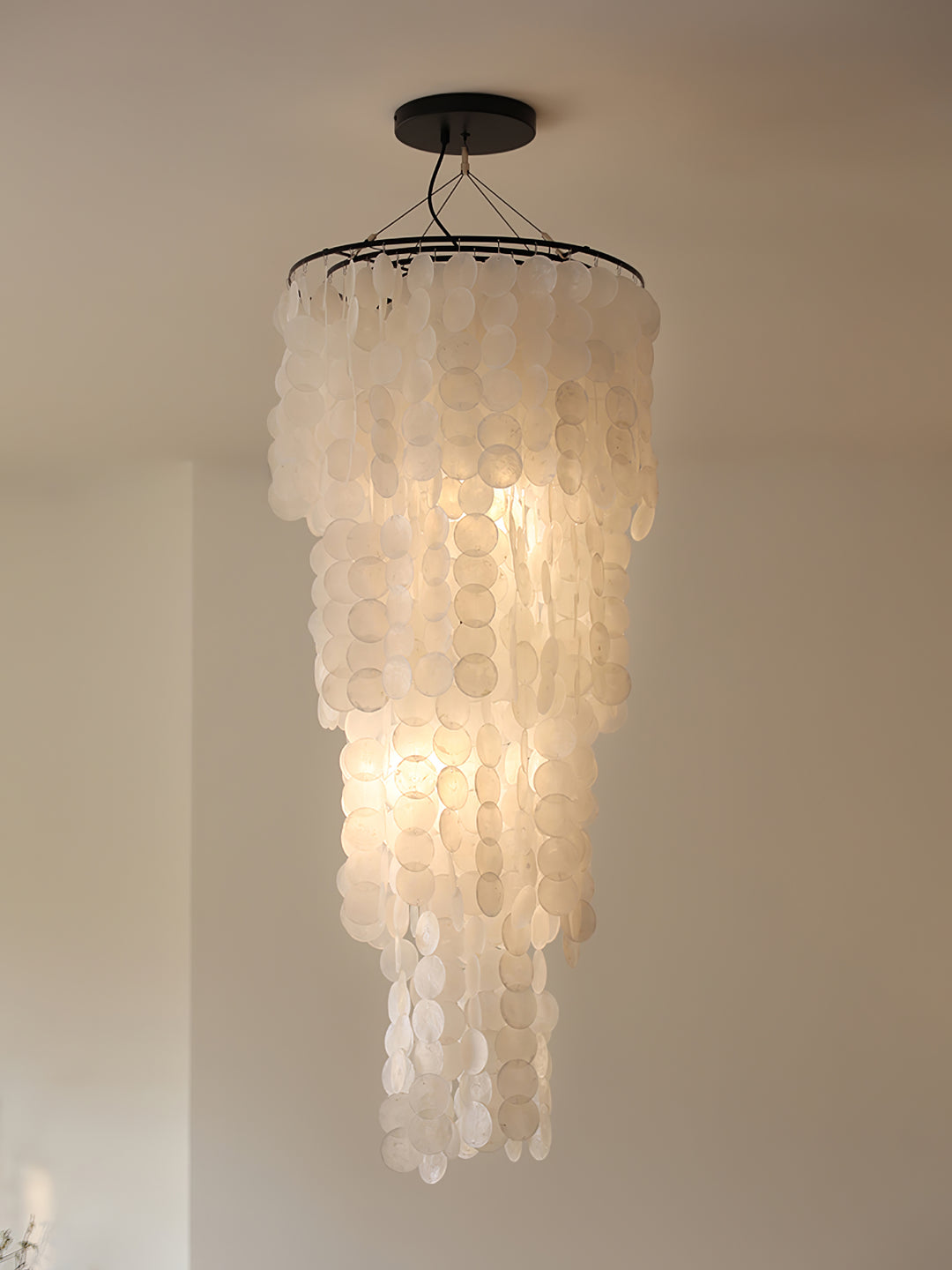 Nerida Shell Chandelier - Vakkerlight