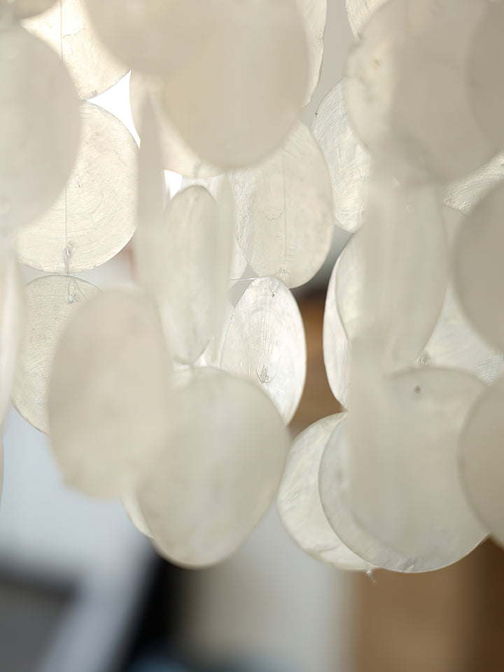 Nerida Shell Chandelier - Vakkerlight