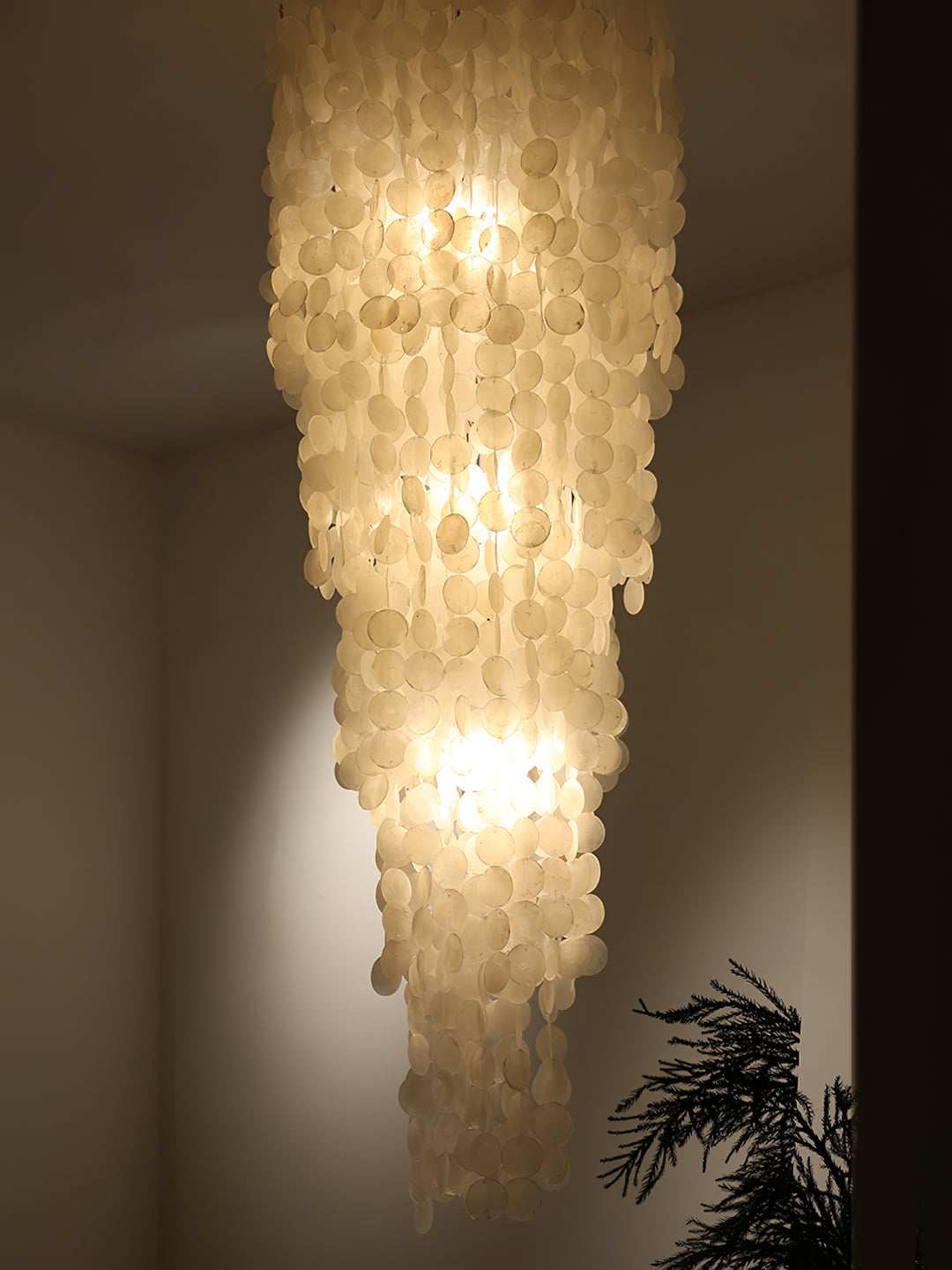 Nerida Shell Chandelier - Vakkerlight
