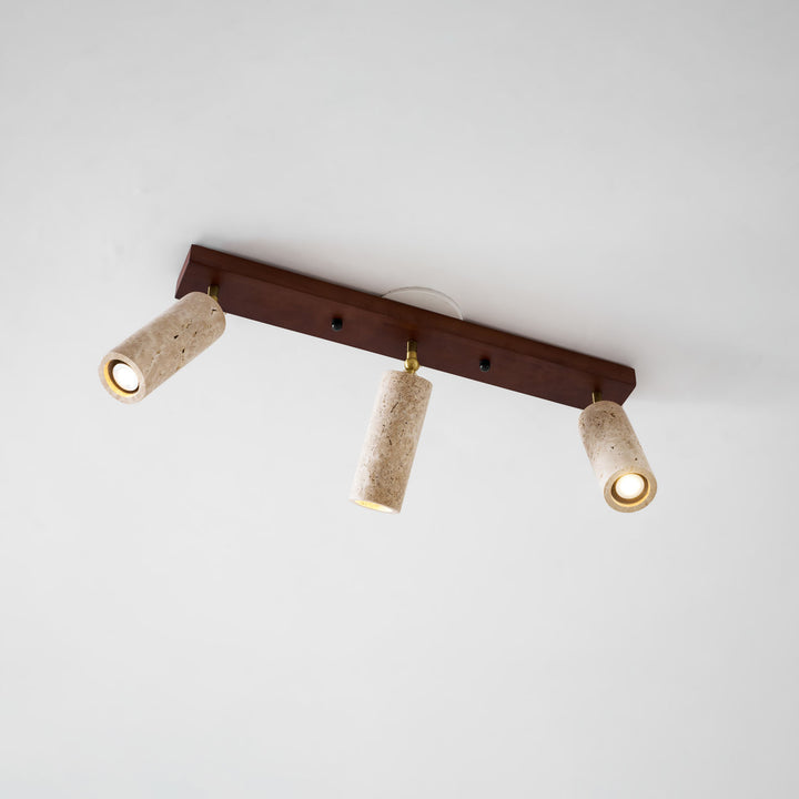 Nimbus Ceiling Spotlight