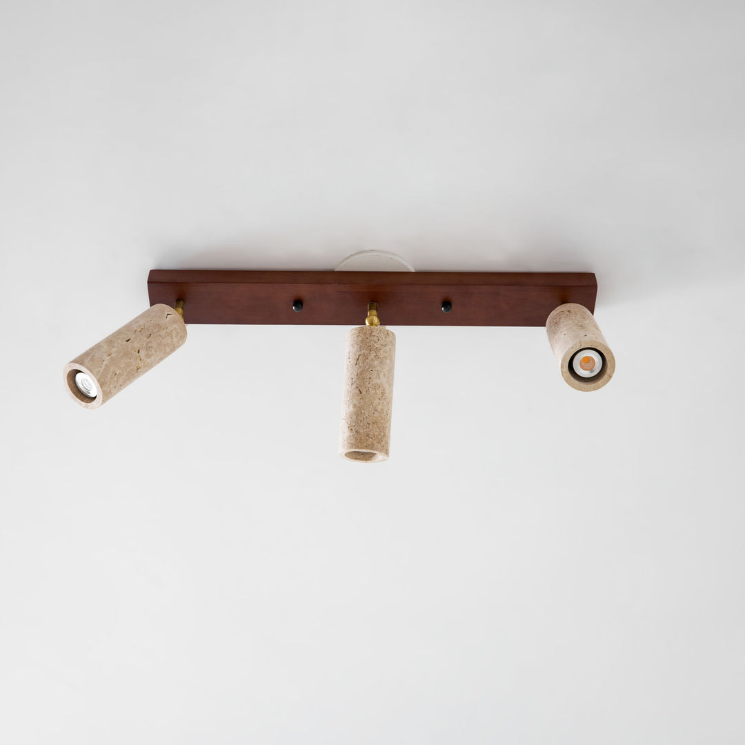 Nimbus Ceiling Spotlight