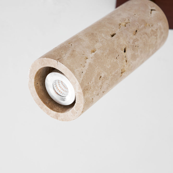 Nimbus Ceiling Spotlight