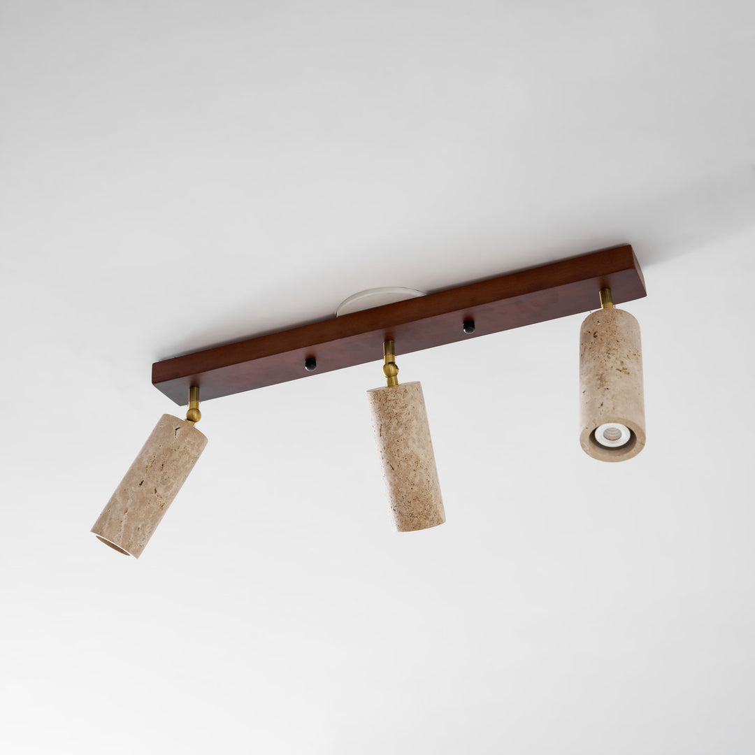 Nimbus Ceiling Spotlight