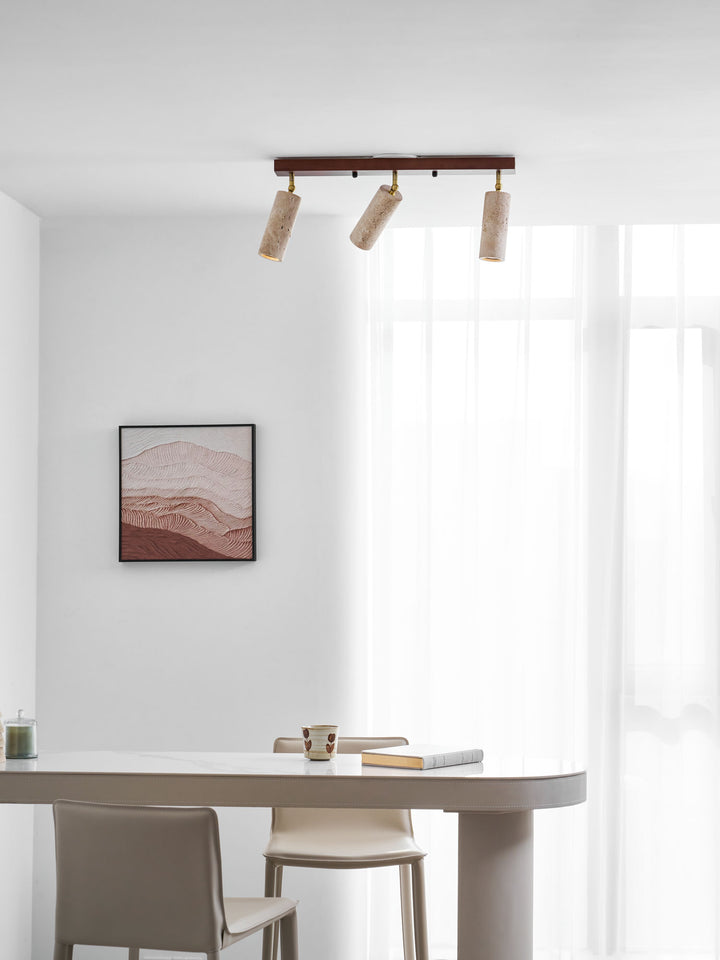 Nimbus Ceiling Spotlight