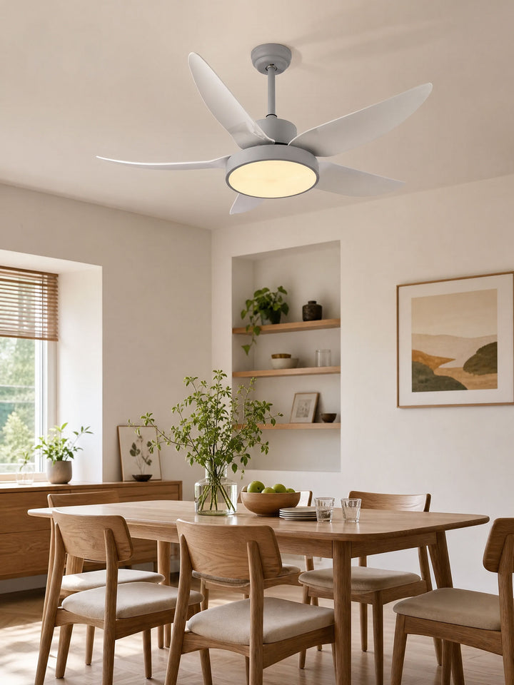 Noctura Glide Ceiling Fan Light - Vakkerlight