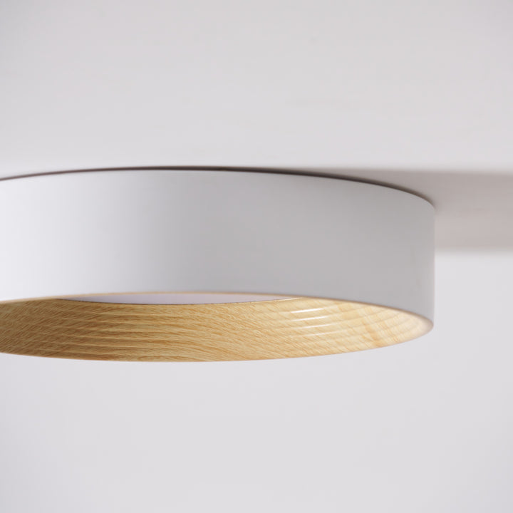 Oreen Ceiling Lamp - Vakkerlight