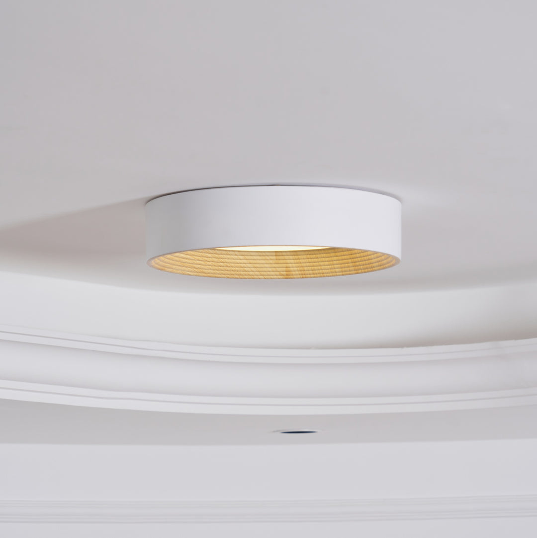 Oreen Ceiling Lamp - Vakkerlight