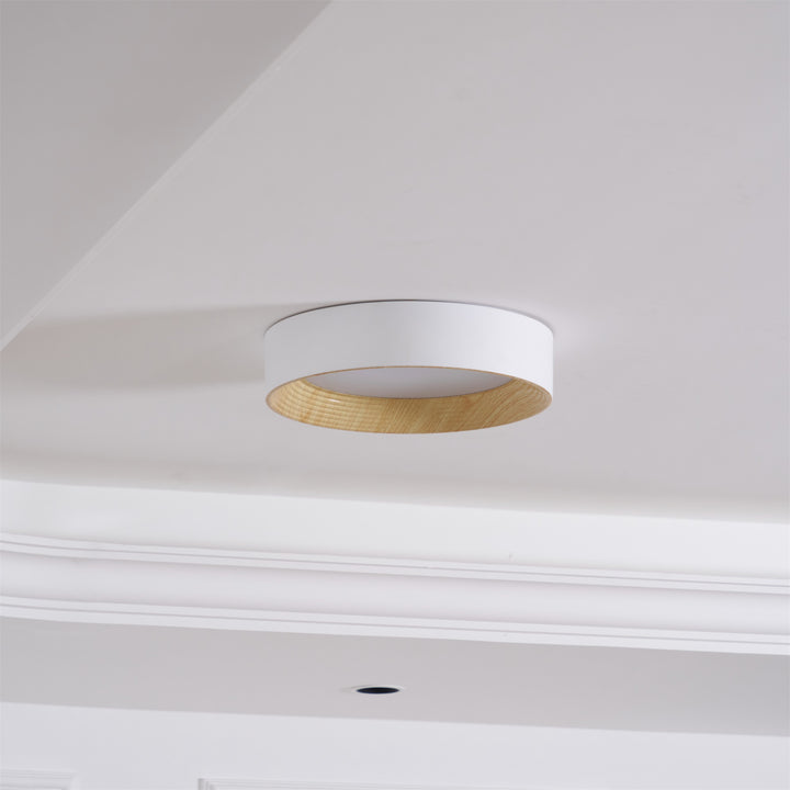 Oreen Ceiling Lamp - Vakkerlight
