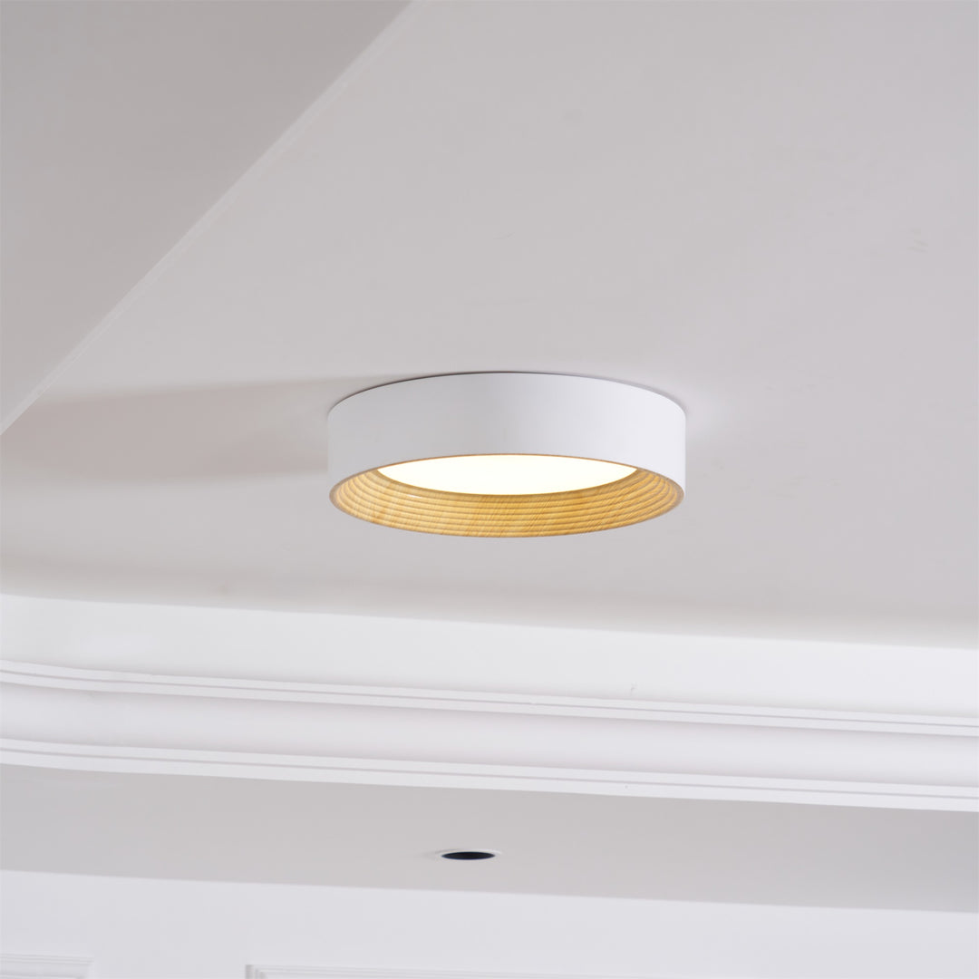 Oreen Ceiling Lamp - Vakkerlight