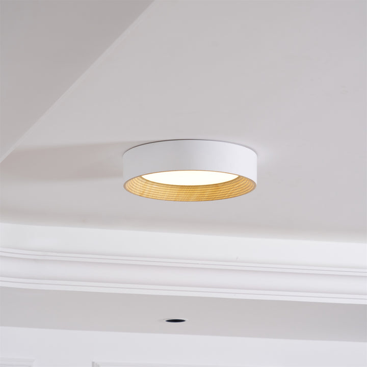 Oreen Ceiling Lamp - Vakkerlight
