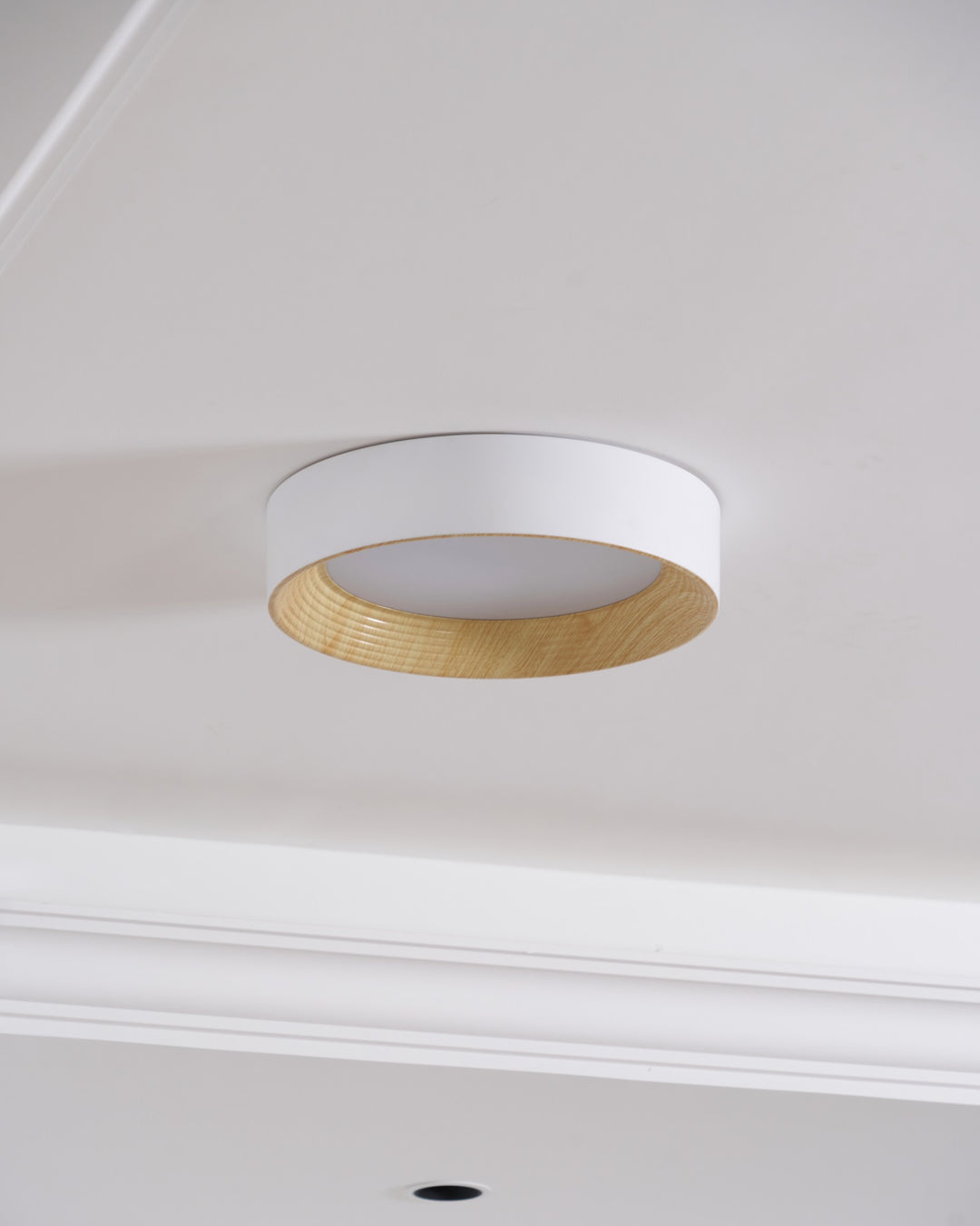 Oreen Ceiling Lamp - Vakkerlight