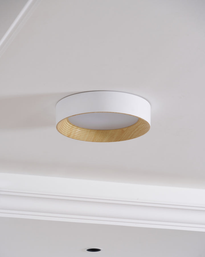 Oreen Ceiling Lamp - Vakkerlight